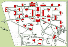 Landeskrankenhaus Brandenburg - Plan